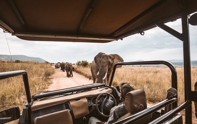 Safari Holiday in Africa: Top 10 Destinations in Africa For a Safari Holiday