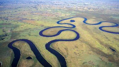 Okavango Delta in Botswana' The 7th Wonder of Africa