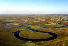 Okavango Delta in Botswana' The 7th Wonder of Africa