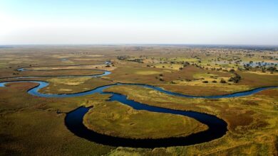 Okavango Delta in Botswana' The 7th Wonder of Africa