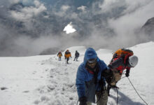 Rwenzori Mountains: A Guide for Trekkers & Nature Enthusiasts