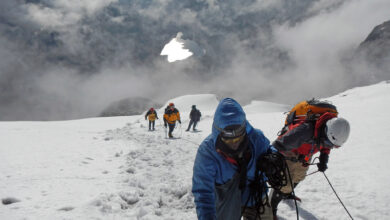 Rwenzori Mountains: A Guide for Trekkers & Nature Enthusiasts