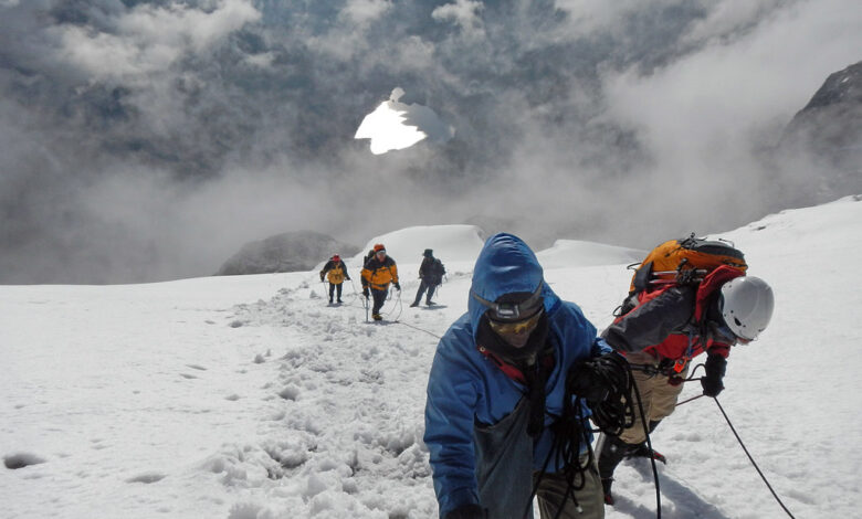 Rwenzori Mountains: A Guide for Trekkers & Nature Enthusiasts