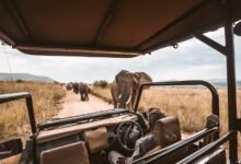 The World's Best Safari Companies in Africa - Africa Facts Zone
