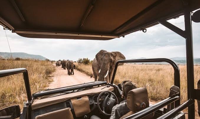 The World's Best Safari Companies in Africa - Africa Facts Zone