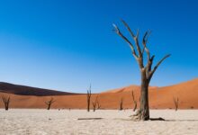 Namib Desert in Namibia' The World's Oldest Desert