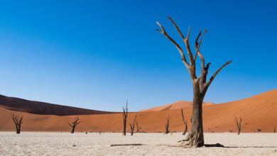 Namib Desert in Namibia' The World's Oldest Desert