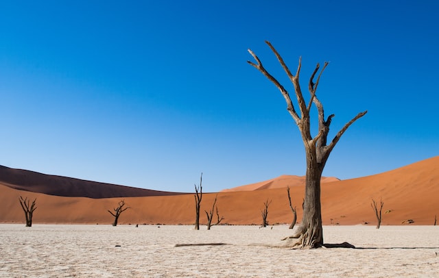 Namib Desert in Namibia' The World's Oldest Desert