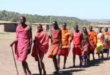 The Maasai Tribe Facts: Blood Drinking, Lion Hunting All about The Maasai Tribe in Kenya
