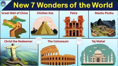 What is the 7 Wonders of the World: Landmarks That Captivate Humanity
