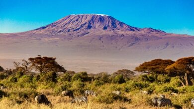 Where Mount Kilimanjaro & Mount Kilimanjaro on Map