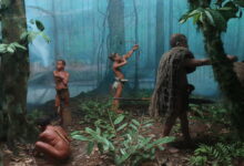 Twa people/ Batwa or Pygmies, : Culture, Religion & Genocide