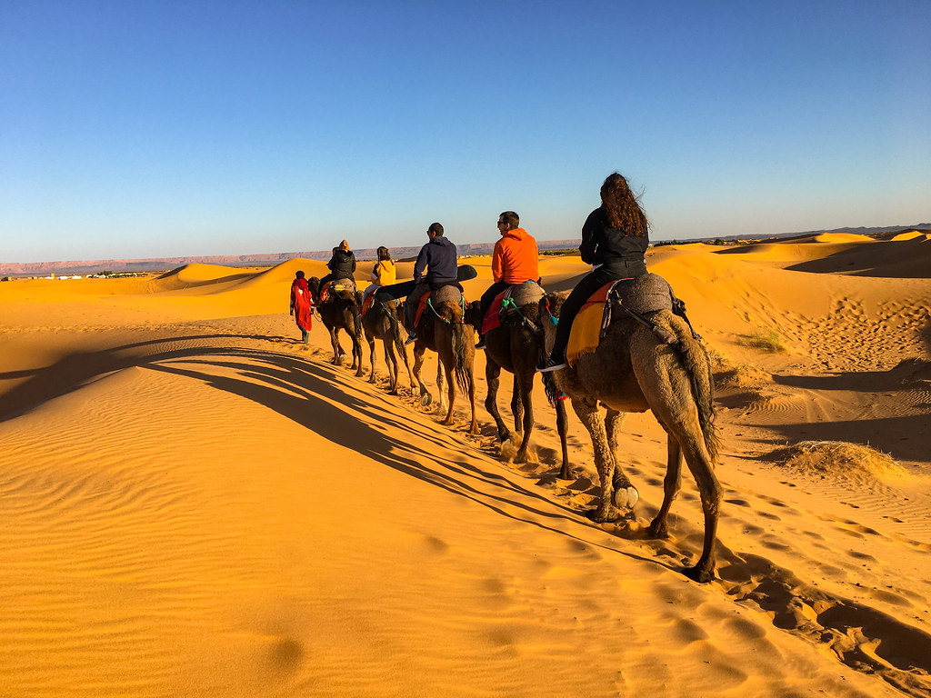 The Sahara Desert' The Biggest and Hottest Desert in the World