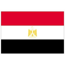 The Symbolism of a Century of Egyptian Flags