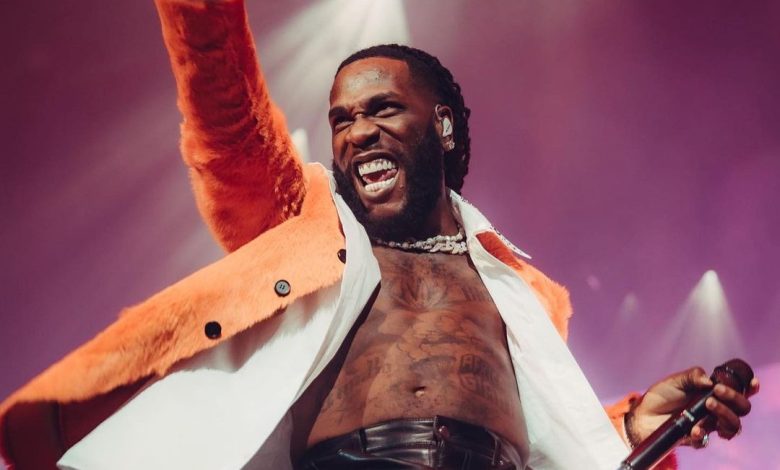 Burna Boy Biography - Afrobeats Legend Awards, Albums, Networth, Songs, Personal Life