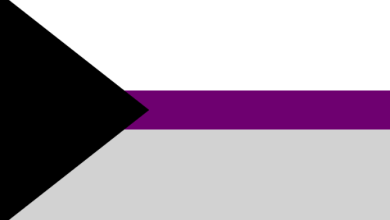 10 Enigmatic Facts About Demisexual Flag