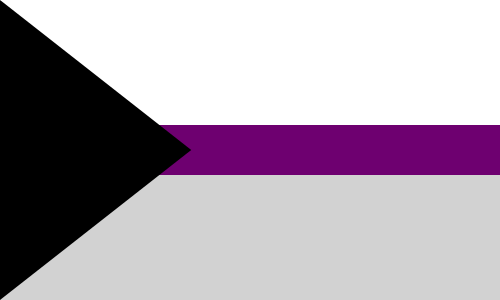 10 Enigmatic Facts About Demisexual Flag