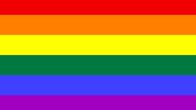 LGBTQ+ Community: Meaning And What It Stands For