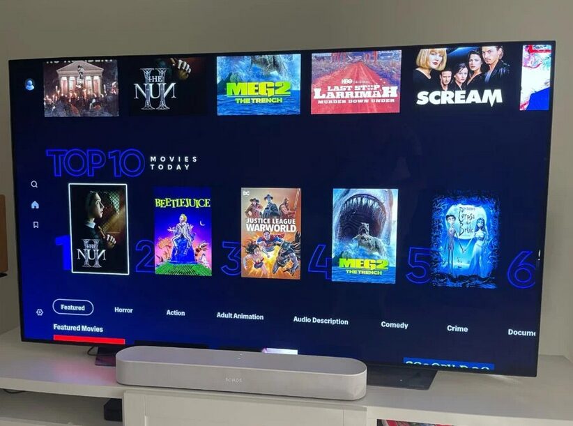 Netflix and Showmax Lead SVOD Market in Africa: What the Future Holds