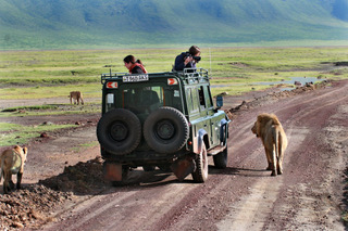 When is the Best Time to Visit Ngorongoro Crater in Tanzania