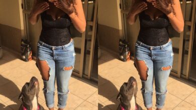 Minnie Dlamini and Her Pitbull Dogs: A Glimpse into Her Furry Family