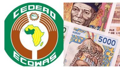 ECOWAS set to Unveil Single Currency, ECO after Nigeria Endorsement