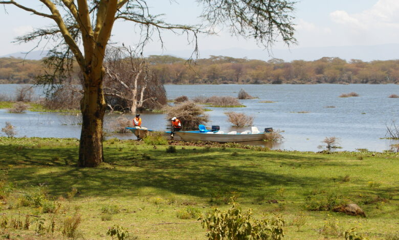 Exploring the Rift Valley Lakes: From Naivasha to Nakuru