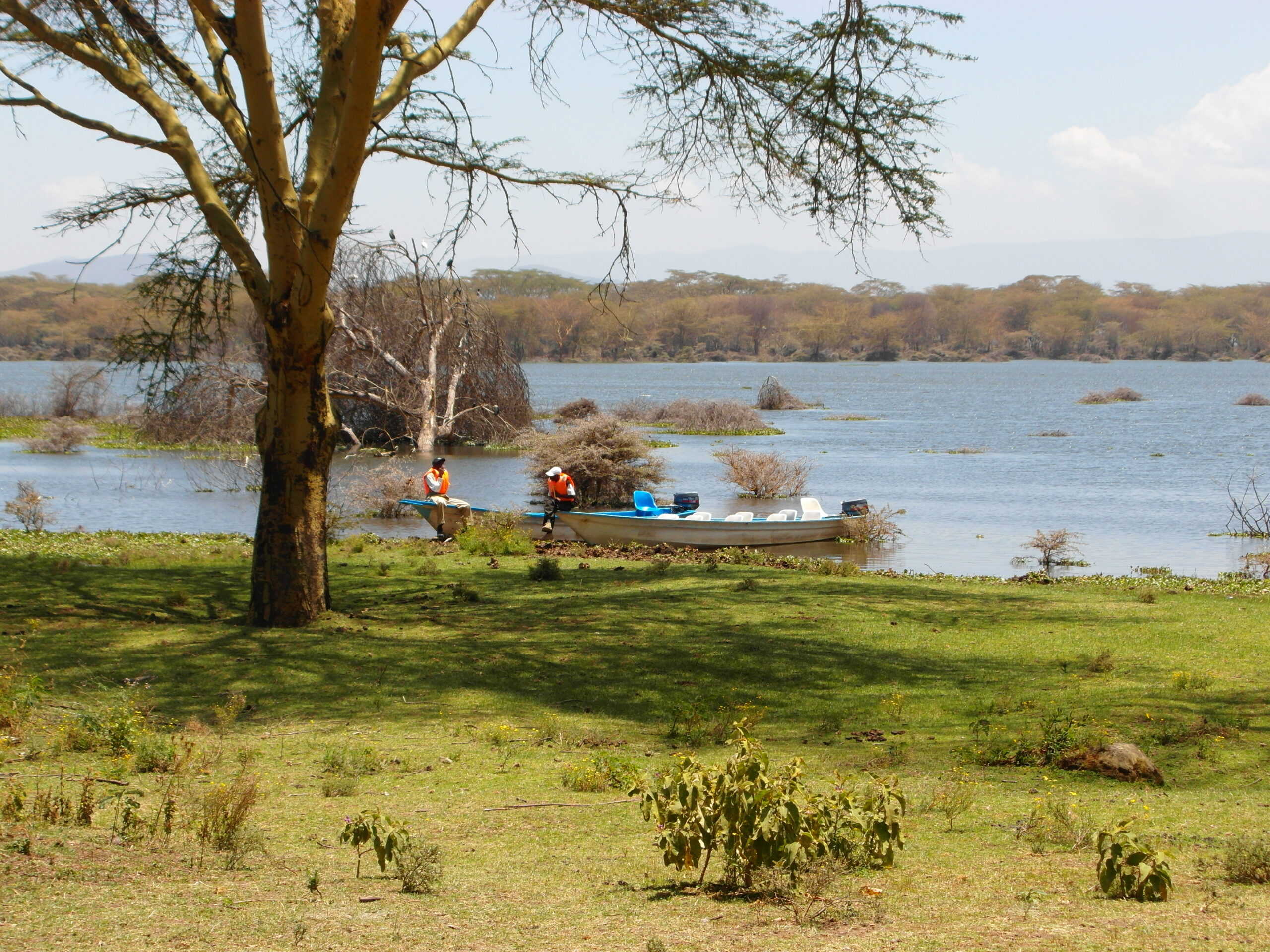 Exploring the Rift Valley Lakes: From Naivasha to Nakuru