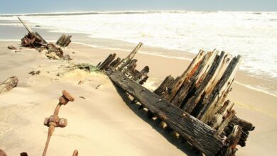Skeleton Coast in Namibia: The World’s Largest Ship Cemetery
