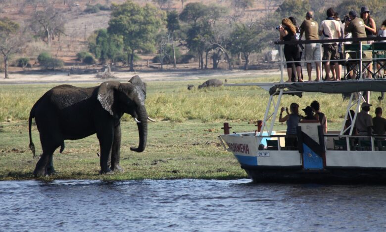 Discover the Enchanting Chobe River Africa: A Safari Adventure Like No Other