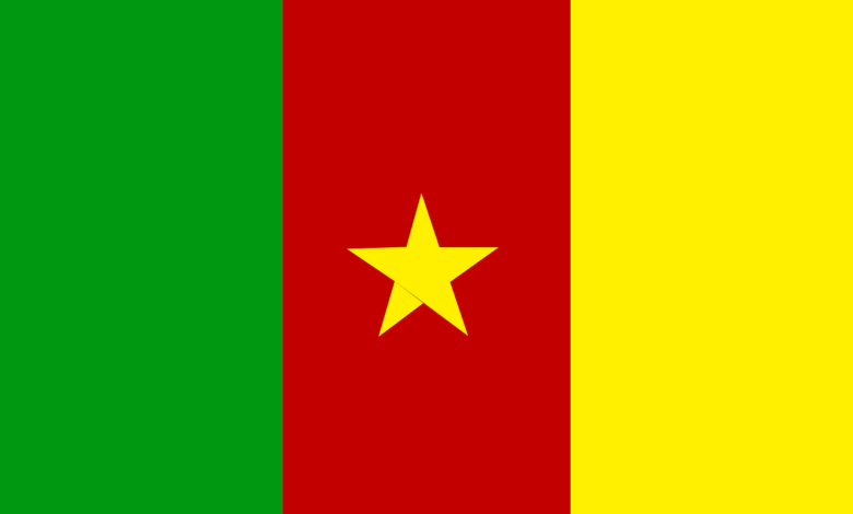 An Image of the Flag of Cameroon