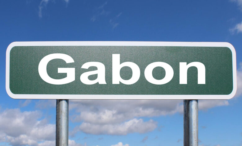 Gabon Facts, History, Culture & Travel – Africa Facts Zone