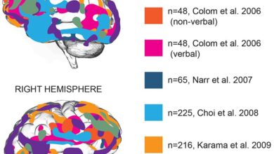 Top 10 Countries in Africa with the Lowest Average IQ