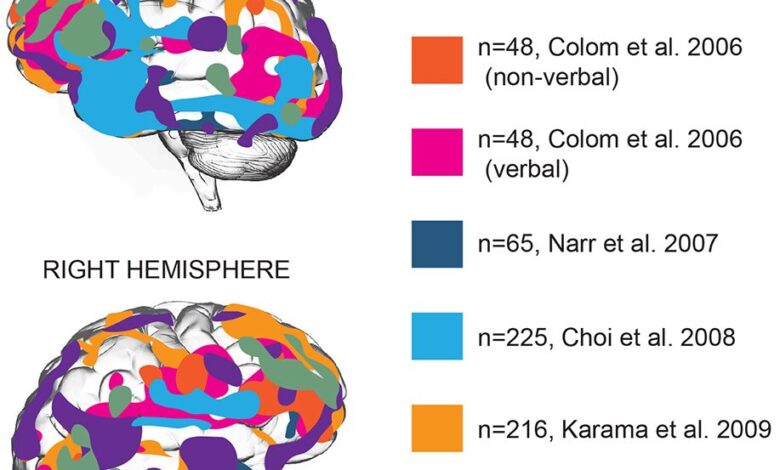 Top 10 Countries in Africa with the Lowest Average IQ