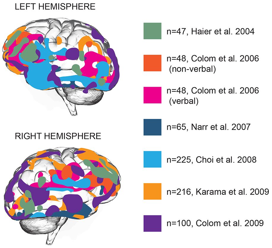 Top 10 Countries in Africa with the Lowest Average IQ