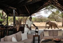 Top 10 Best Safari Tour Companies/Operators in Africa