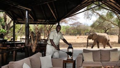 Top 10 Best Safari Tour Companies/Operators in Africa