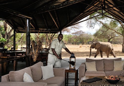 Top 10 Best Safari Tour Companies/Operators in Africa