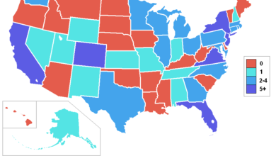 Top 5 Richest States in America (Video)