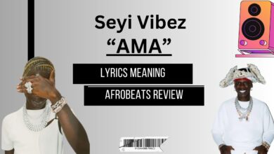 Seyi Vibez - “AMA” Afrobeats Lyrics Meaning & Translation