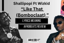 Shallipopi - Like That (Bomboclatt) ft Wizkid Afrobeats Lyris Meaning