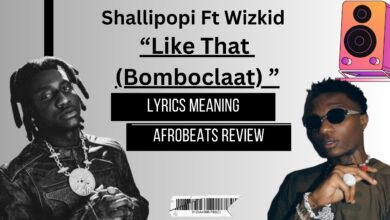 Shallipopi - Like That (Bomboclatt) ft Wizkid Afrobeats Lyris Meaning