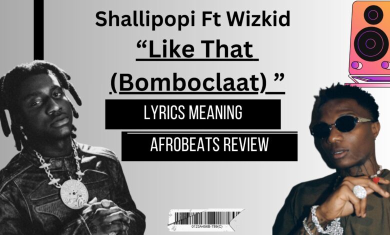 Shallipopi - Like That (Bomboclatt) ft Wizkid Afrobeats Lyris Meaning