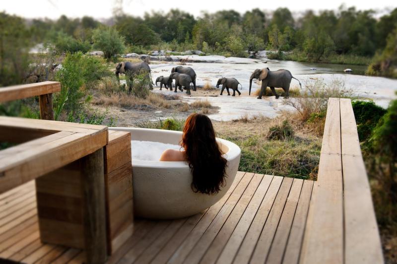 A Look Inside Luxury Safari Segment And Its Future Growth Path